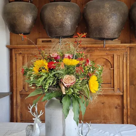 Zur Stilli Dorf 宾馆 达沃斯